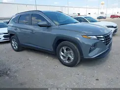 5NMJB3DE4RH427684 2024 HYUNDAI TUCSON