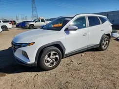 5NMJB3DE5RH303939 2024 HYUNDAI TUCSON