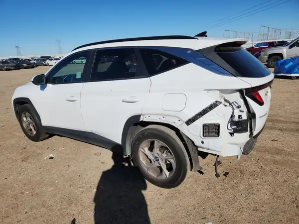5NMJB3DE5RH303939 2024 HYUNDAI TUCSON - Image 2