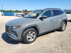 5NMJB3DE5RH316383 2024 HYUNDAI TUCSON