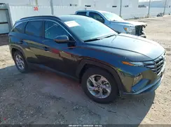 5NMJB3DE5RH316710 2024 HYUNDAI TUCSON