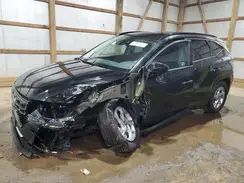 5NMJB3DE5RH329263 2024 HYUNDAI TUCSON