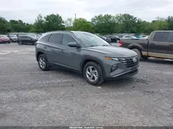 5NMJB3DE5RH329392 2024 HYUNDAI TUCSON