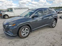 5NMJB3DE5RH334463 2024 HYUNDAI TUCSON