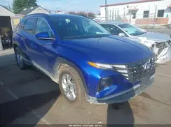 5NMJB3DE5RH343292 2024 HYUNDAI TUCSON
