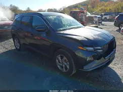 5NMJB3DE5RH356494 2024 HYUNDAI TUCSON