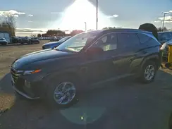 5NMJB3DE5RH358620 2024 HYUNDAI TUCSON