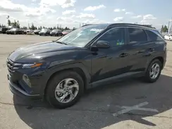 5NMJB3DE5RH380892 2024 HYUNDAI TUCSON