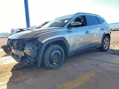 5NMJB3DE5RH389138 2024 HYUNDAI TUCSON
