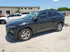5NMJB3DE5RH390435 2024 HYUNDAI TUCSON