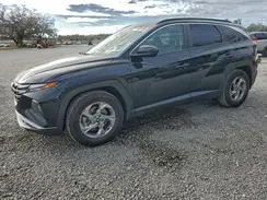5NMJB3DE6RH296564 2024 HYUNDAI TUCSON