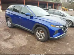 5NMJB3DE6RH300130 2024 HYUNDAI TUCSON