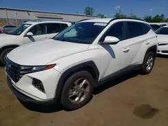 5NMJB3DE6RH305392 2024 HYUNDAI TUCSON