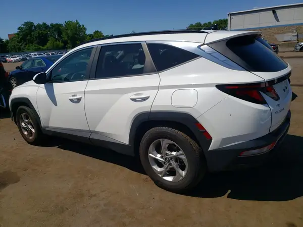 5NMJB3DE6RH305392 2024 HYUNDAI TUCSON - Image 2