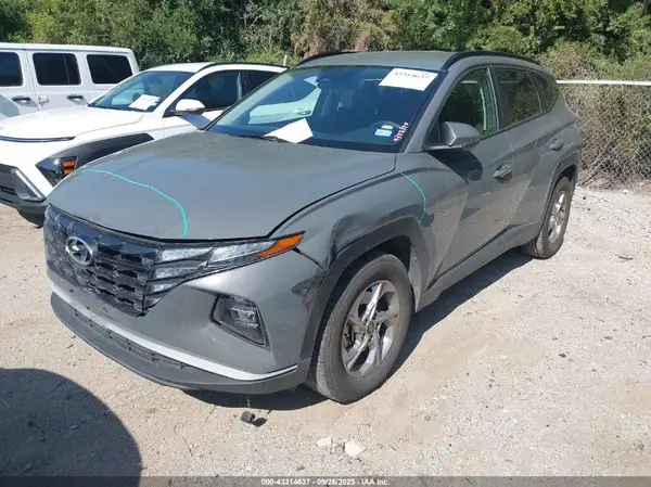 5NMJB3DE6RH305439 2024 HYUNDAI TUCSON - Image 2