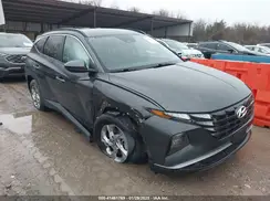 5NMJB3DE6RH310205 2024 HYUNDAI TUCSON