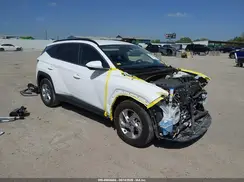 5NMJB3DE6RH319762 2024 HYUNDAI TUCSON