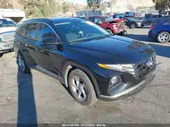 5NMJB3DE6RH320183 2024 HYUNDAI TUCSON