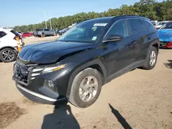 5NMJB3DE6RH327425 2024 HYUNDAI TUCSON