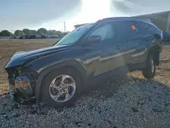 5NMJB3DE6RH341552 2024 HYUNDAI TUCSON