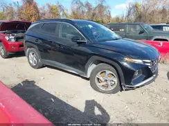 5NMJB3DE6RH352812 2024 HYUNDAI TUCSON