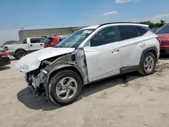 5NMJB3DE6RH355919 2024 HYUNDAI TUCSON