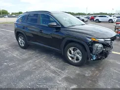 5NMJB3DE6RH367164 2024 HYUNDAI TUCSON