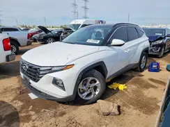5NMJB3DE6RH368590 2024 HYUNDAI TUCSON