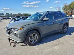 5NMJB3DE6RH369920 2024 HYUNDAI TUCSON