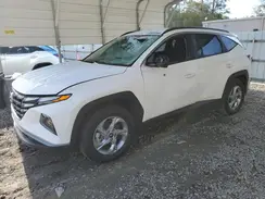 5NMJB3DE6RH374311 2024 HYUNDAI TUCSON