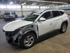 5NMJB3DE6RH382280 2024 HYUNDAI TUCSON