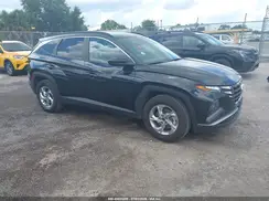 5NMJB3DE6RH384398 2024 HYUNDAI TUCSON
