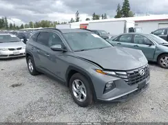 5NMJB3DE6RH389858 2024 HYUNDAI TUCSON