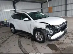 5NMJB3DE6RH395689 2024 HYUNDAI TUCSON