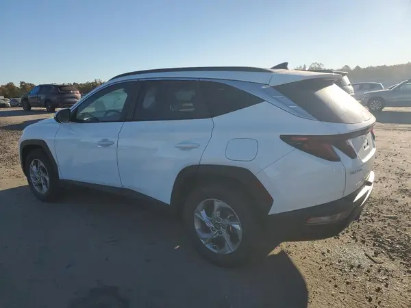 5NMJB3DE6RH422003 2024 HYUNDAI TUCSON - Image 2