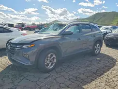 5NMJB3DE6RH422261 2024 HYUNDAI TUCSON