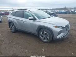 5NMJB3DE6RH423331 2024 HYUNDAI TUCSON