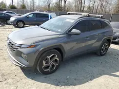 5NMJB3DE6RH423992 2024 HYUNDAI TUCSON