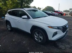 5NMJB3DE6RH428321 2024 HYUNDAI TUCSON