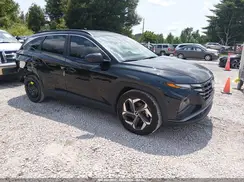5NMJB3DE6RH429226 2024 HYUNDAI TUCSON