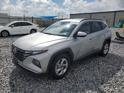 5NMJB3DE7RH298372 2024 HYUNDAI TUCSON