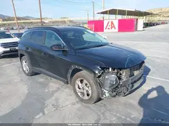 5NMJB3DE7RH298999 2024 HYUNDAI TUCSON