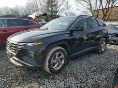 5NMJB3DE7RH313923 2024 HYUNDAI TUCSON