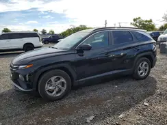5NMJB3DE7RH317633 2024 HYUNDAI TUCSON