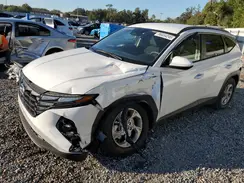 5NMJB3DE7RH318779 2024 HYUNDAI TUCSON