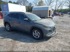 5NMJB3DE7RH339342 2024 HYUNDAI TUCSON