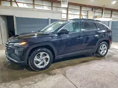 5NMJB3DE7RH345349 2024 HYUNDAI TUCSON