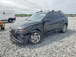 5NMJB3DE7RH369036 2024 HYUNDAI TUCSON
