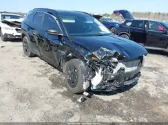 5NMJB3DE7RH374513 2024 HYUNDAI TUCSON