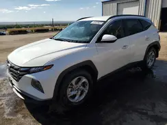 5NMJB3DE7RH389948 2024 HYUNDAI TUCSON